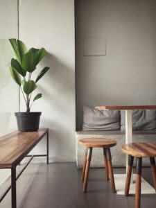 rare indoor plants