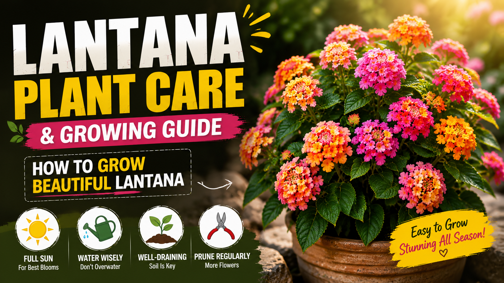 lantana
