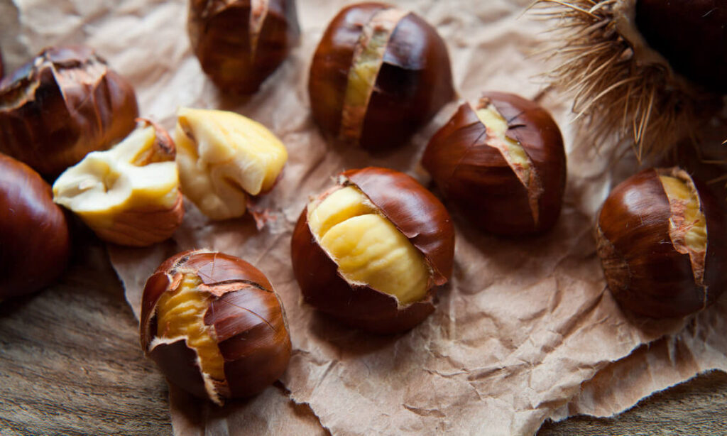 Chestnut: Why This Humble Nut Deserves a Comeback