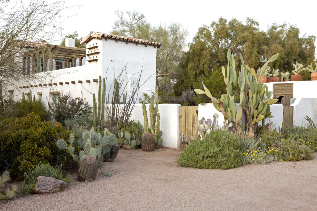 California Planting Zones: A Growing Zones Guide for Home Gardeners