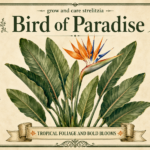 Bird of Paradise Plant The Complete Growing & Care Guide