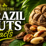 Brazil nuts in their shells and kernels displayed on a wooden surface with fresh green leaves