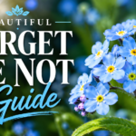 Forget me not flowers blooming with delicate blue petals and green foliage in a beautiful garden