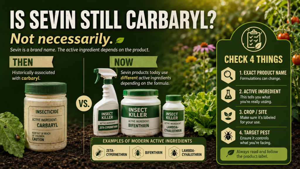 Sevin Insect Killer and Dust: Uses, Safety &Alternatives Infographic comparing Sevin products containing carbaryl with newer Sevin formulations using different active ingredients.